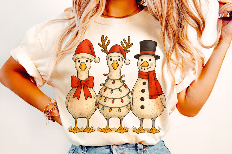 Christmas Goose, Funny Christmas Goose PNG, Merry Christmas