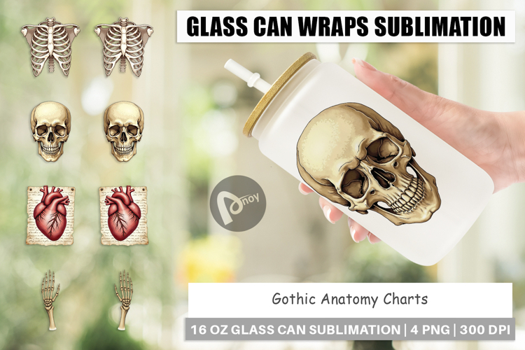 Anatomy Illustration Image 7