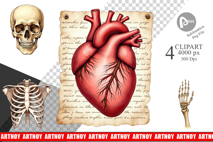 Gothic Anatomy Clipart