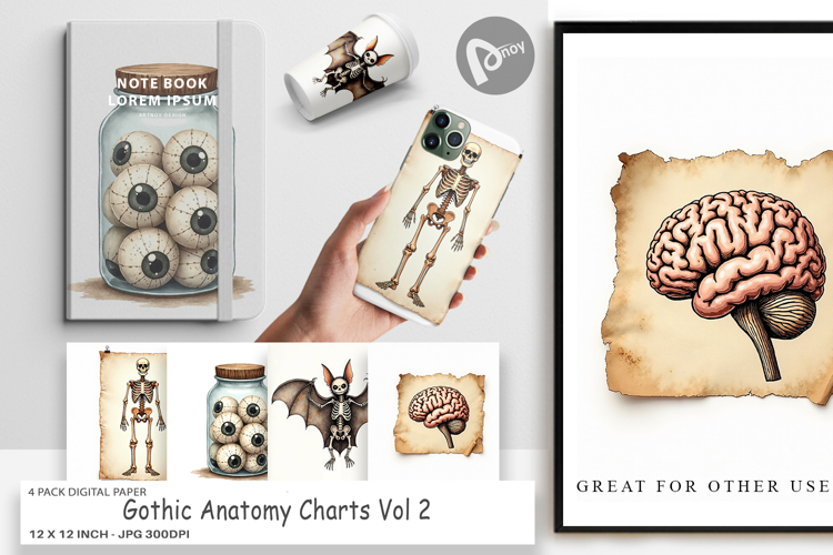 Anatomy Illustration Image 10