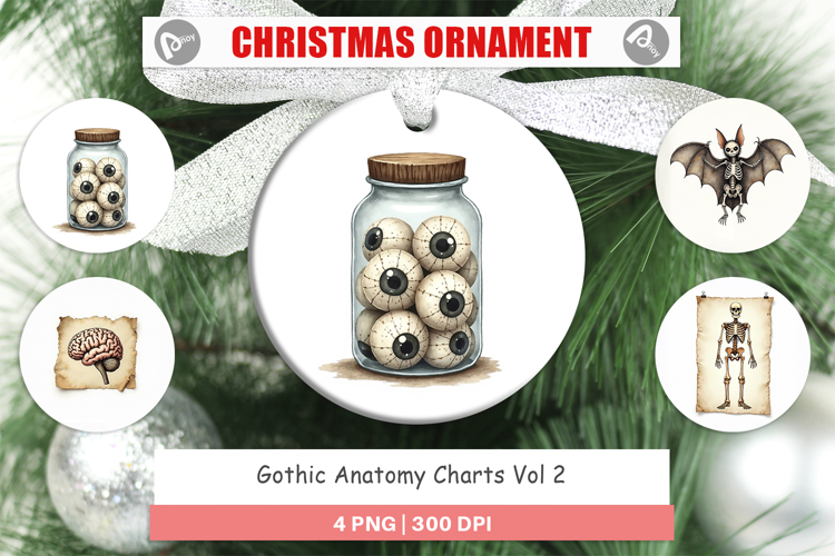 Anatomy Illustration Image 22