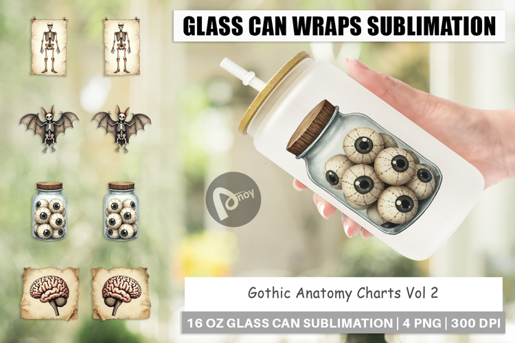 Anatomy Illustration Image 6