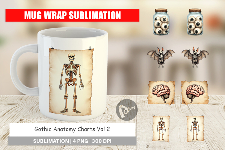 Anatomy Illustration Image 24