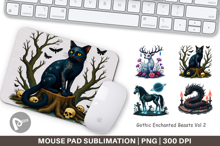 Mouse Png Image 17