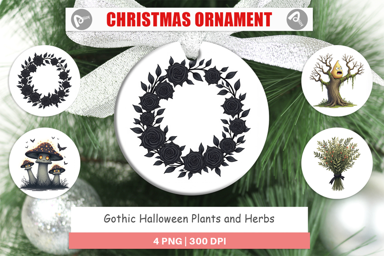 Witchy Png Image 6