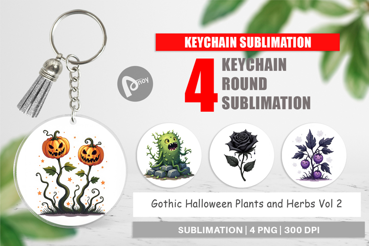 Witchy Png Image 15