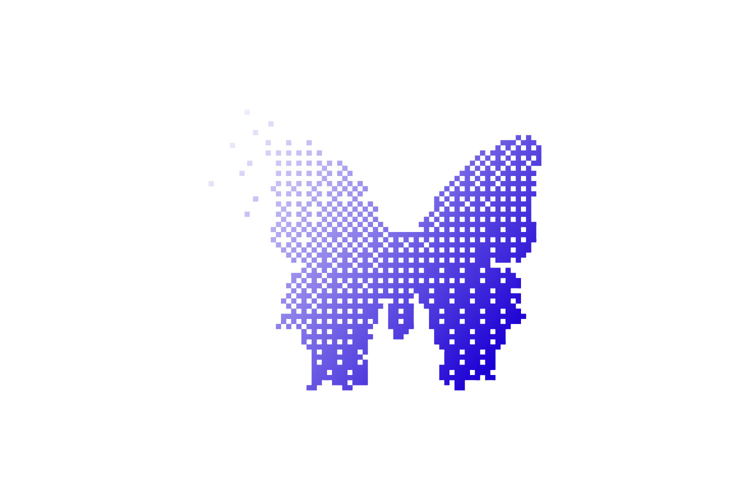 Butterfly Texture Image 24
