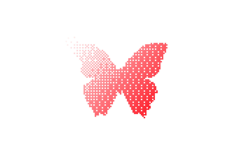 Butterfly Texture Image 4