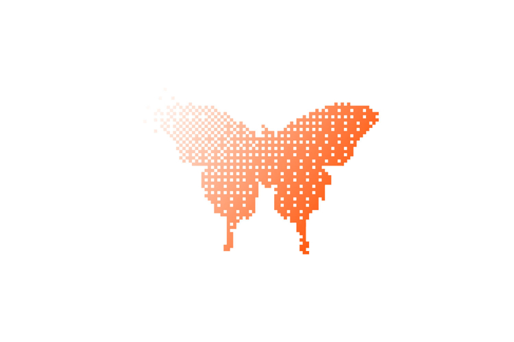 Butterfly Texture