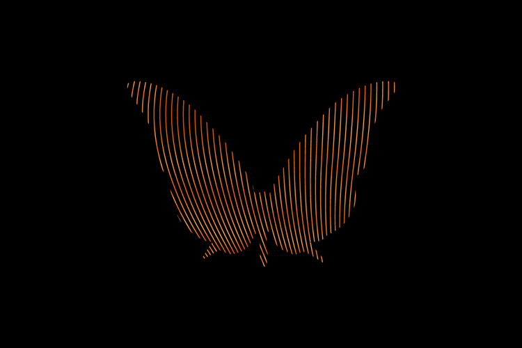 Butterfly Logo Image 9