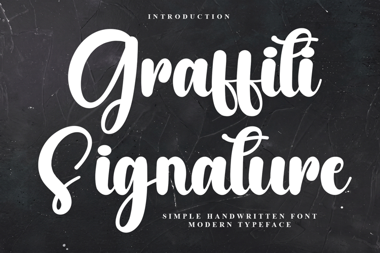 Best Signature Font Image 9