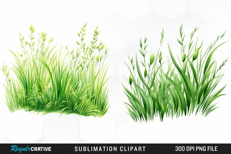 Watercolor Grass Graphics Clipart