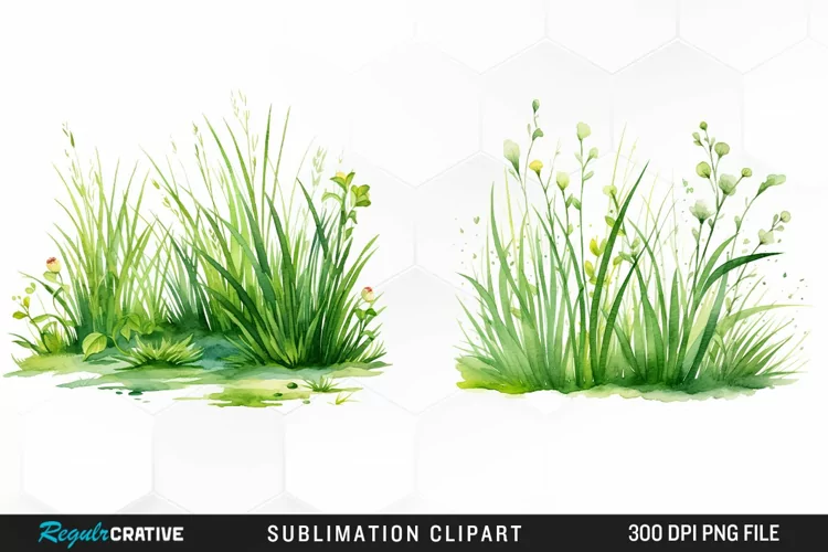 Watercolor Grass Graphics Clipart