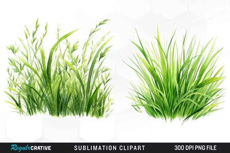 Watercolor Grass Graphics Clipart