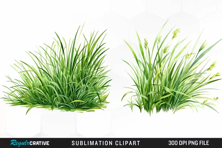 Watercolor Grass Graphics Clipart