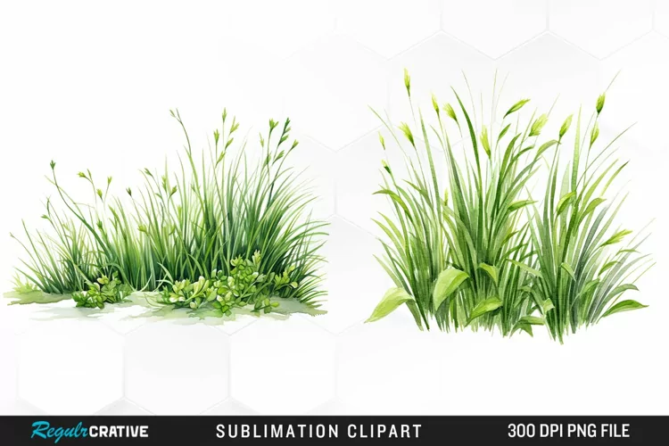 Watercolor Grass Graphics Clipart