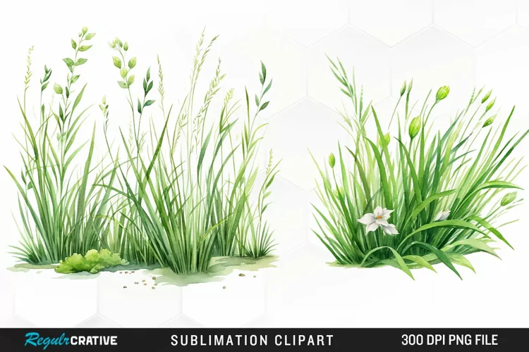 Watercolor Grass Graphics Clipart