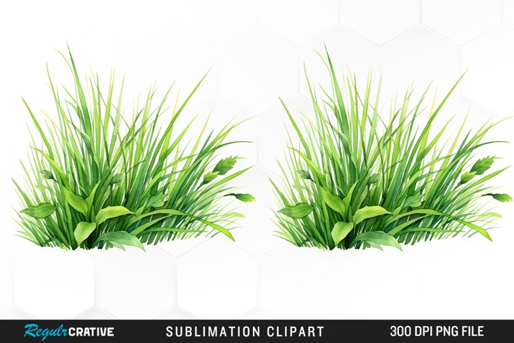 Grass Clipart Image 14