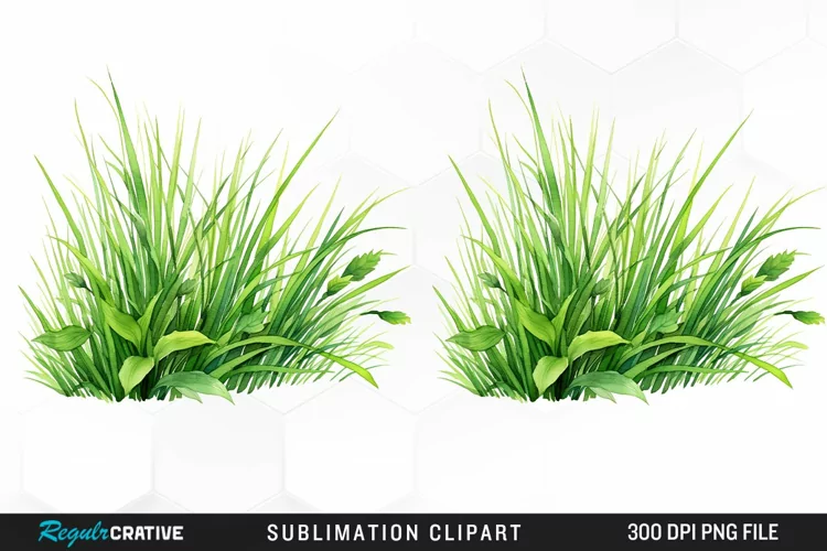 Watercolor Grass Graphics Clipart