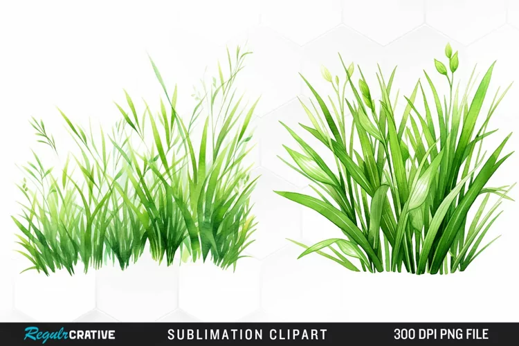 Watercolor Grass Graphics Clipart