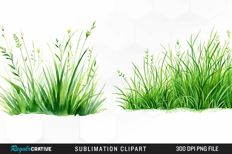 Watercolor Grass Graphics Clipart