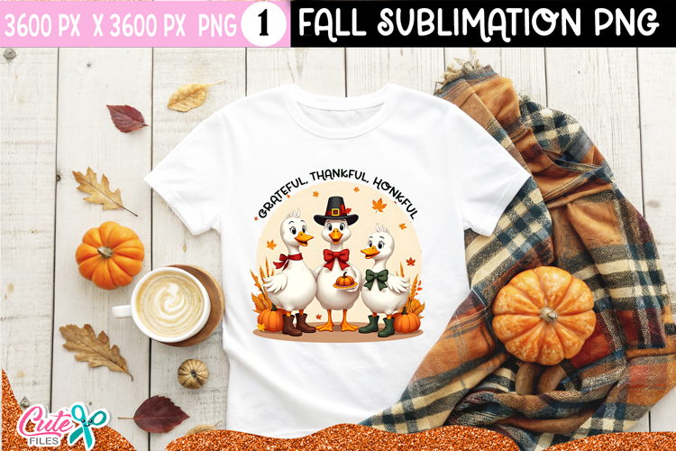 Cute Turkey Pictures Image 12