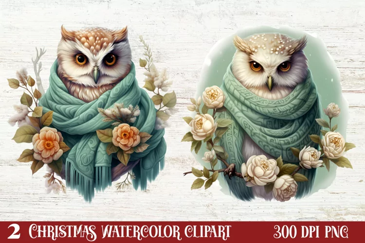 Cozy Green christmas Clipart Sublimation, Christmas PNG