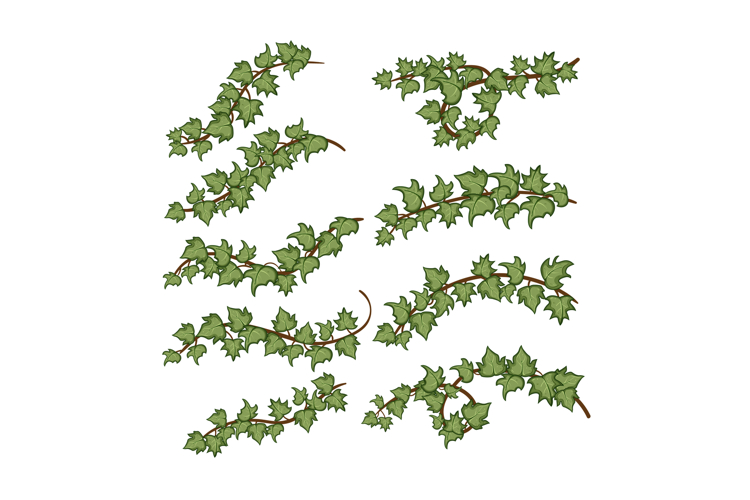 Cartoon Plant Image 12