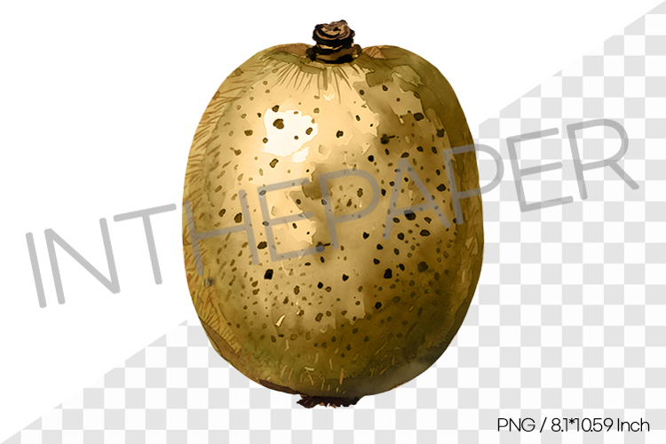 Single Whole Green Kiwi PNG Clipart Fruit Watercolor Illustr