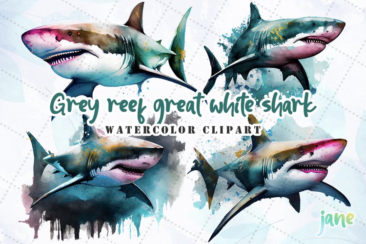 Grey Reef Great White Shark Watercolor Sublimation example image 1