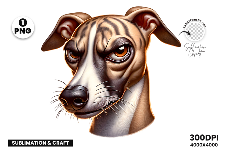 greyhound clipart, greyhound png, dog clipart, dog png, sublimation design, sarcastic dog art, pet clipart, animal png, dog lover gift, printable clipart