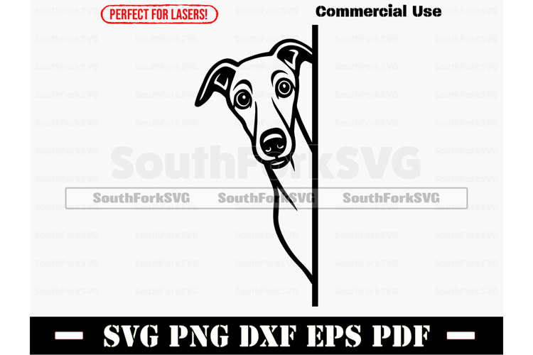 Greyhound Svg Image 16