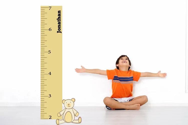 Growth Chart vertical sign SVG