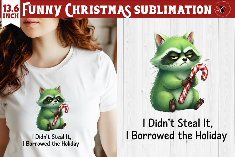 Raccoon Clipart Image 2