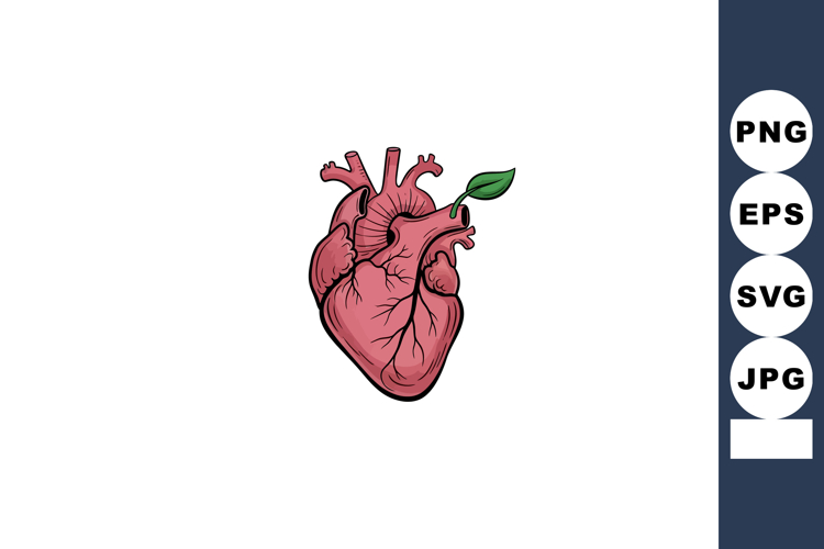 Leaf Vector Image 19