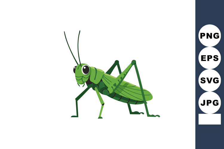 Insect Illustration Image 5