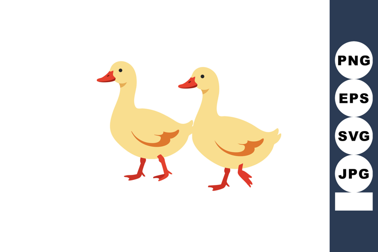 Two yellow ducklings walking side by side with orange beaks