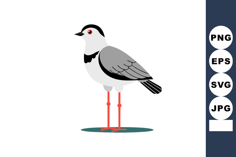 Seagull Clipart Image 8