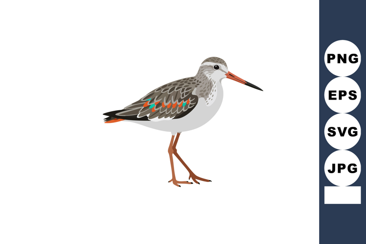 Bird Clipart Image 20