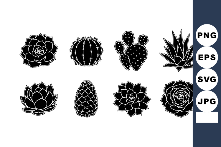Succulent Clipart Image 12