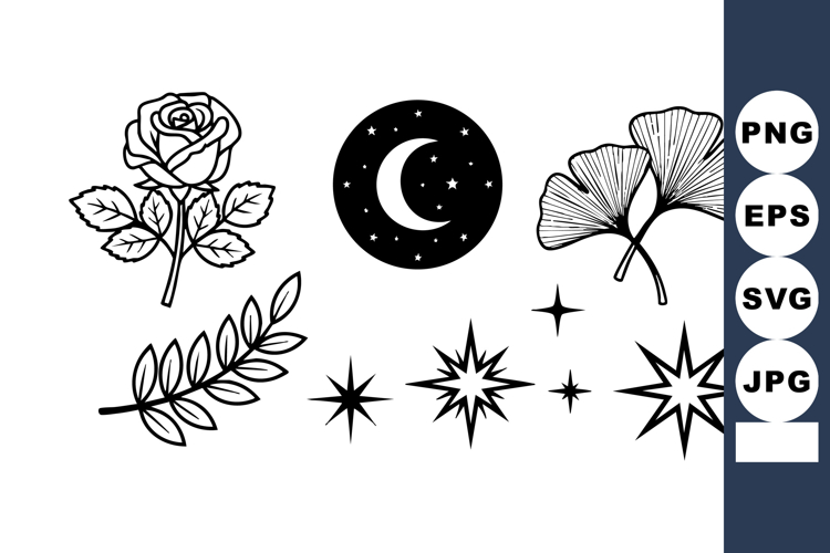 Botanical and celestial vector set with rose, ginkgo leaves,