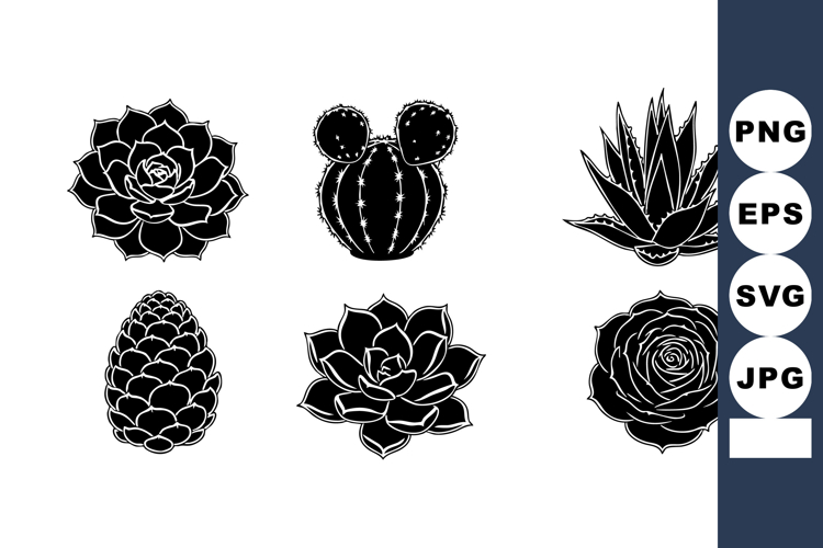 Succulent Clipart Image 7