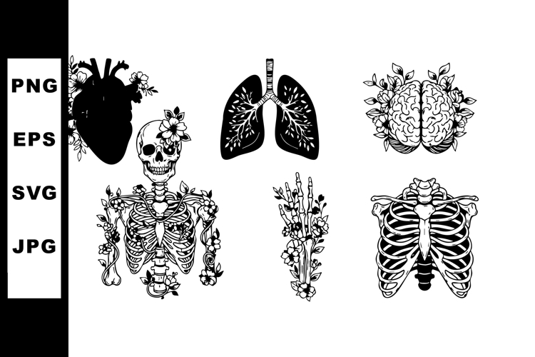 Heart Vector Image 16