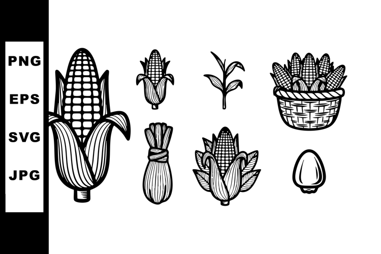 Corn Cobs and Kernels Growth Line Art Illustration