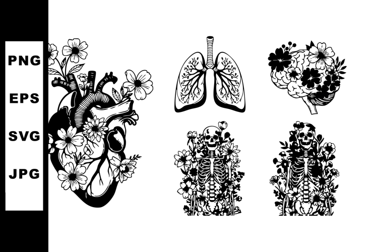 Skeleton Vector Image 17