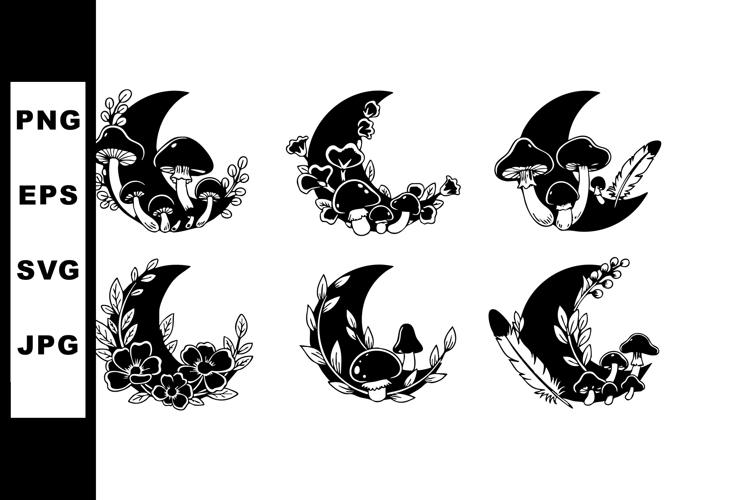 Feather Vector Image 11