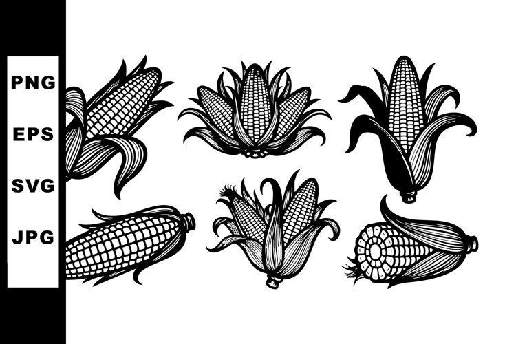 Corn Vector