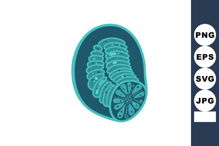 Microorganism Parasite Vector Illustration in Blue and Teal