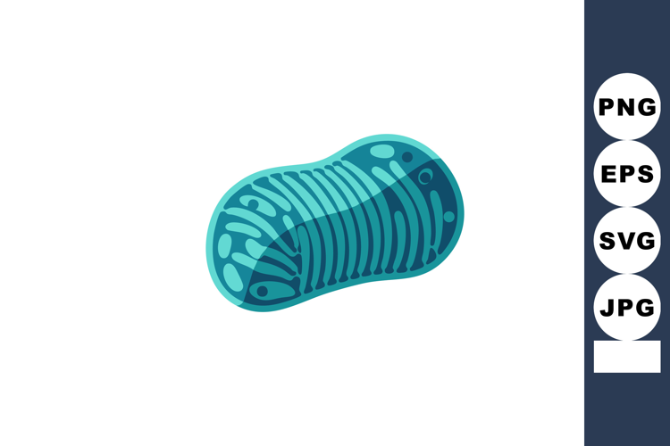 Mitochondrion organelle blue detailed cell energy production