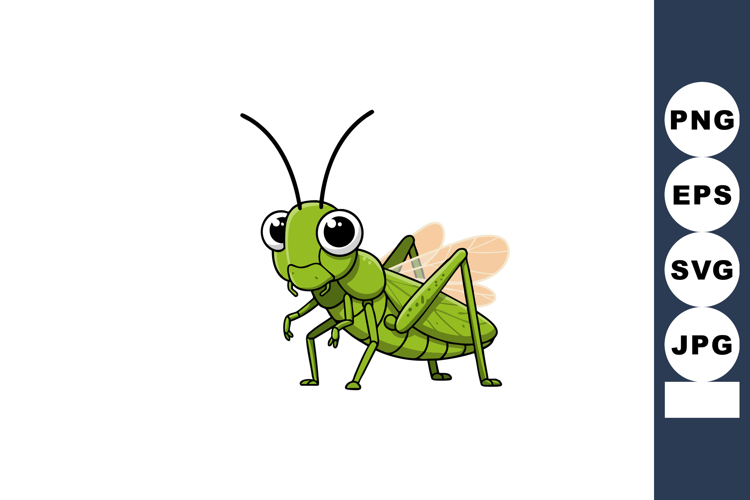 Insect Illustration Image 8